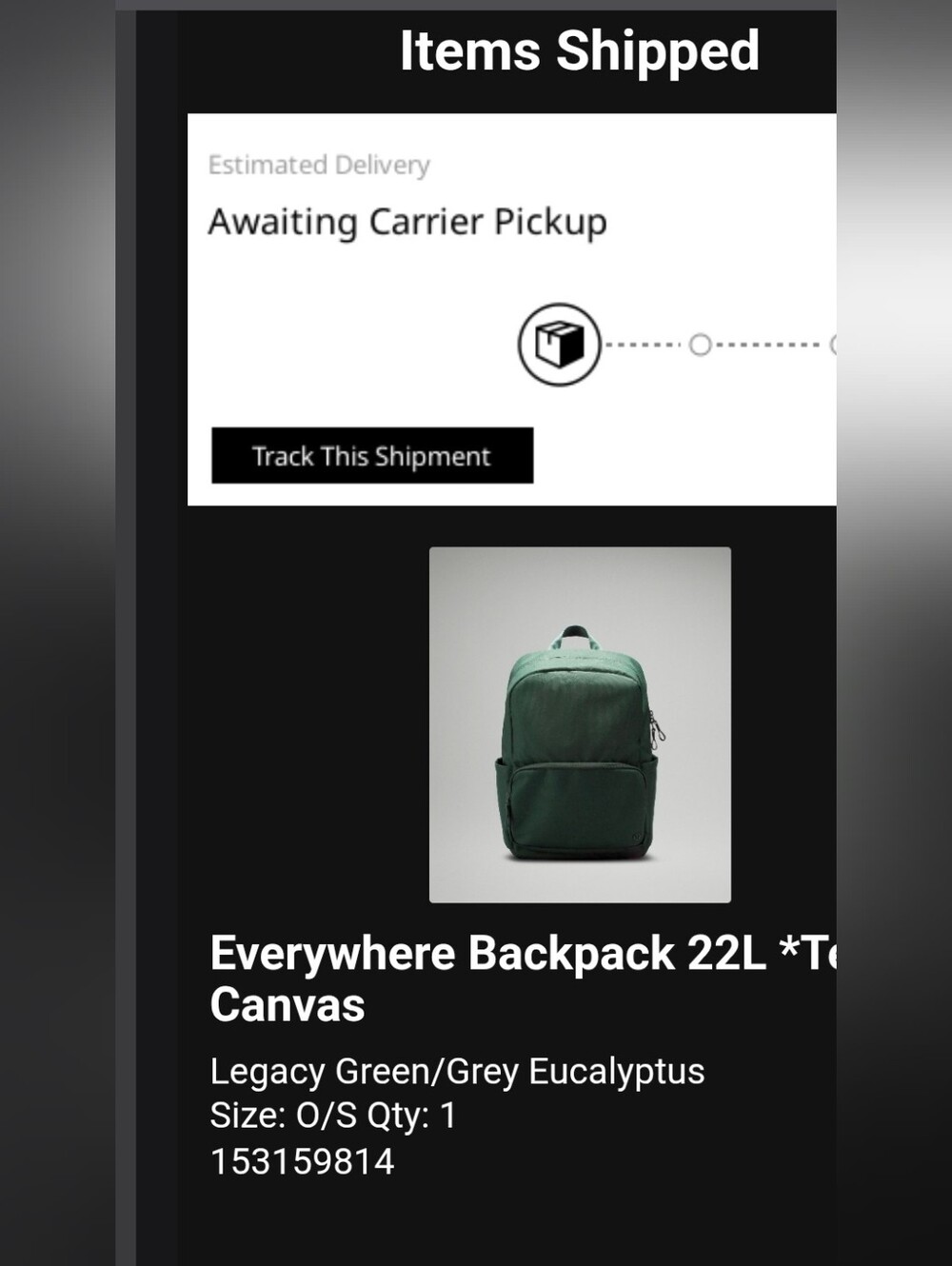 Everywhere Backpack 22L *Tech Canvas Legacy Green - Picture 6 of 6